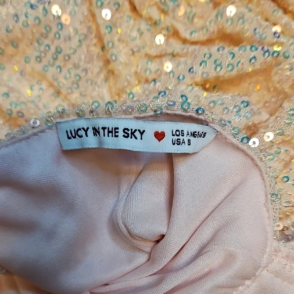 Lucy In The Sky Sequin Ruched Bodycon Dress - Picture 7 of 12